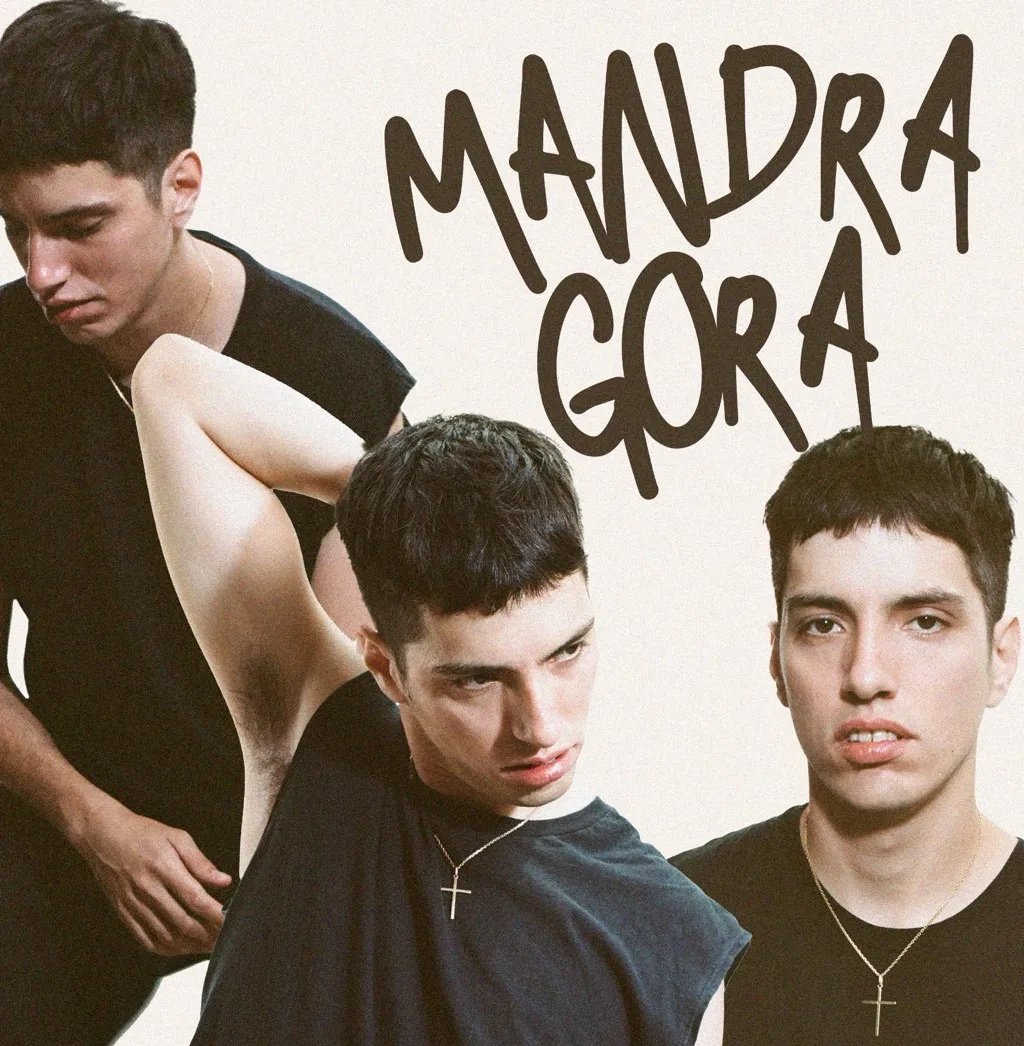 Mandragora 1