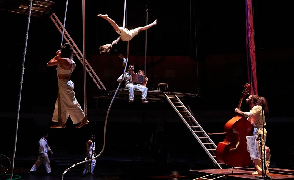 Cirque de Reims 1