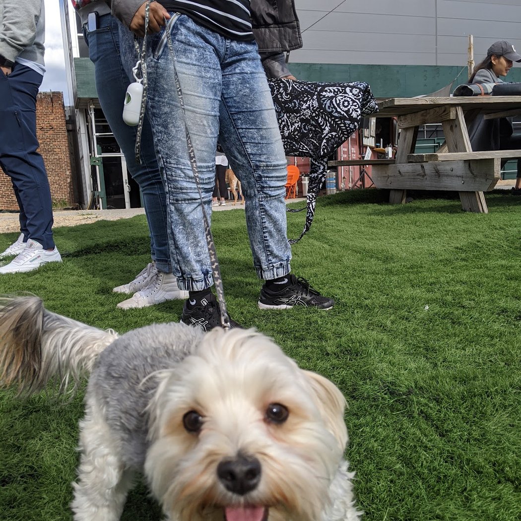 Bark Park 1