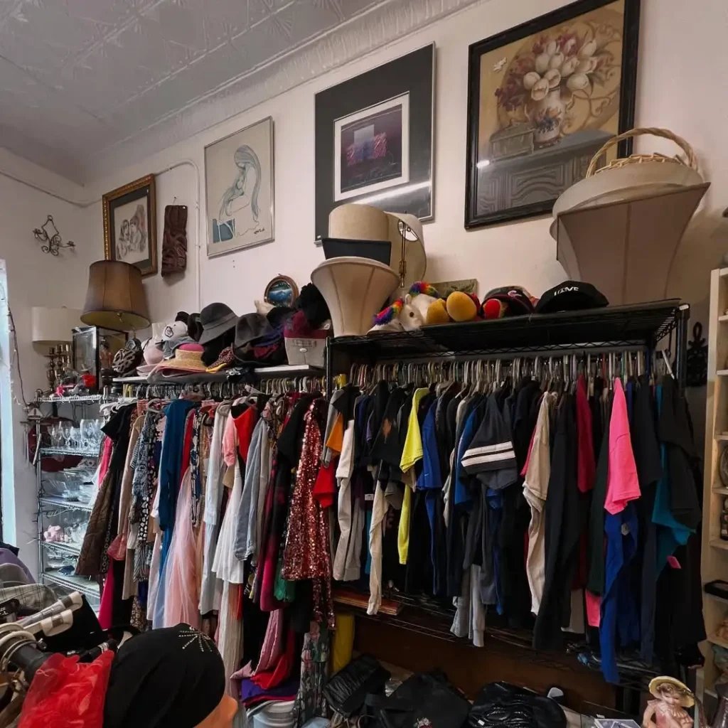 RaccoonThrift 2