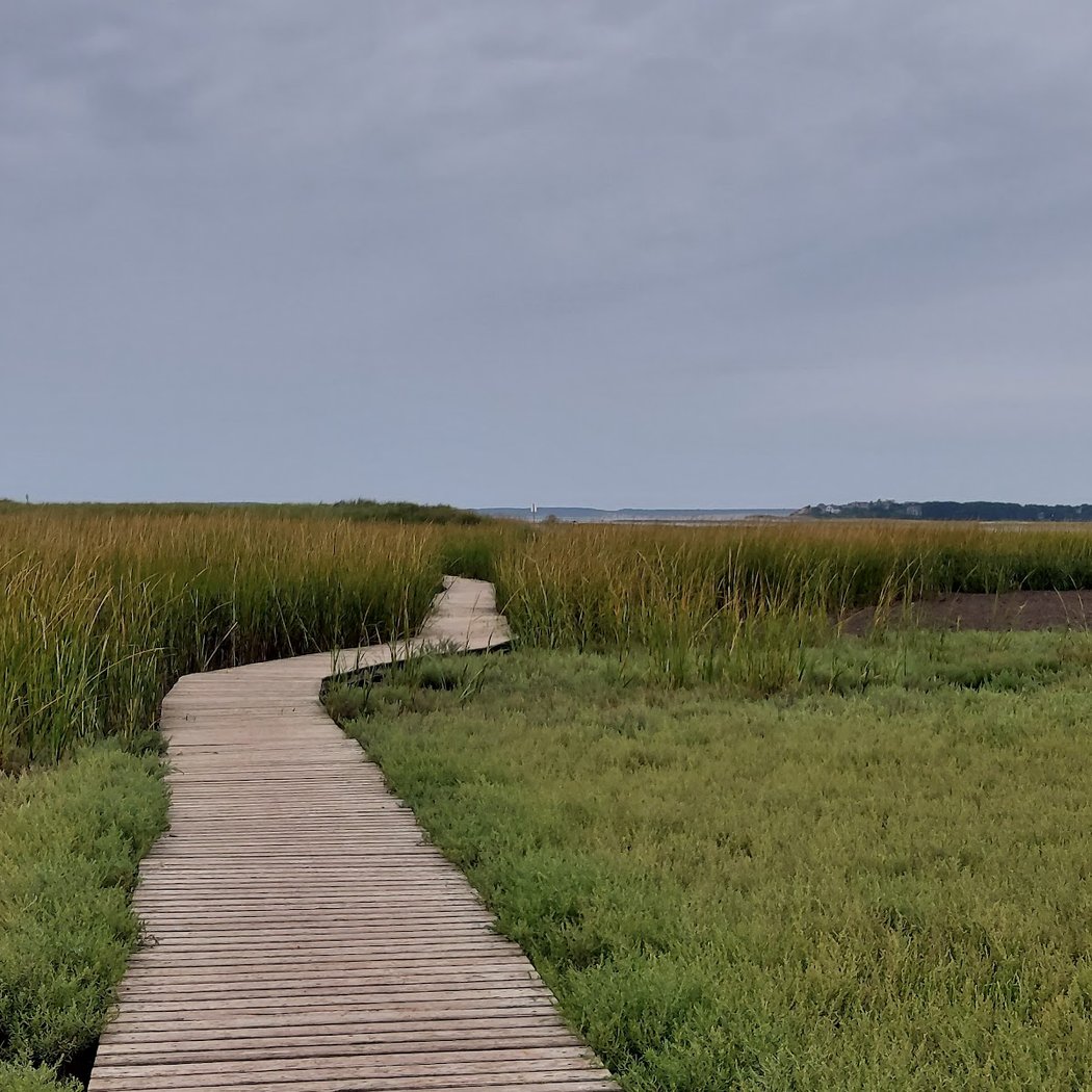 Early Bird Walk at Wellfleet Bay 2