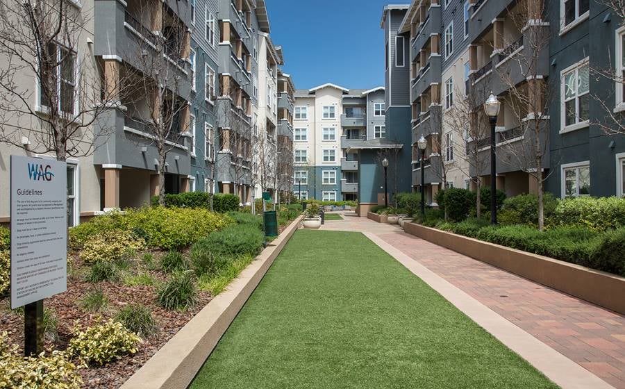 Avalon San Bruno 3
