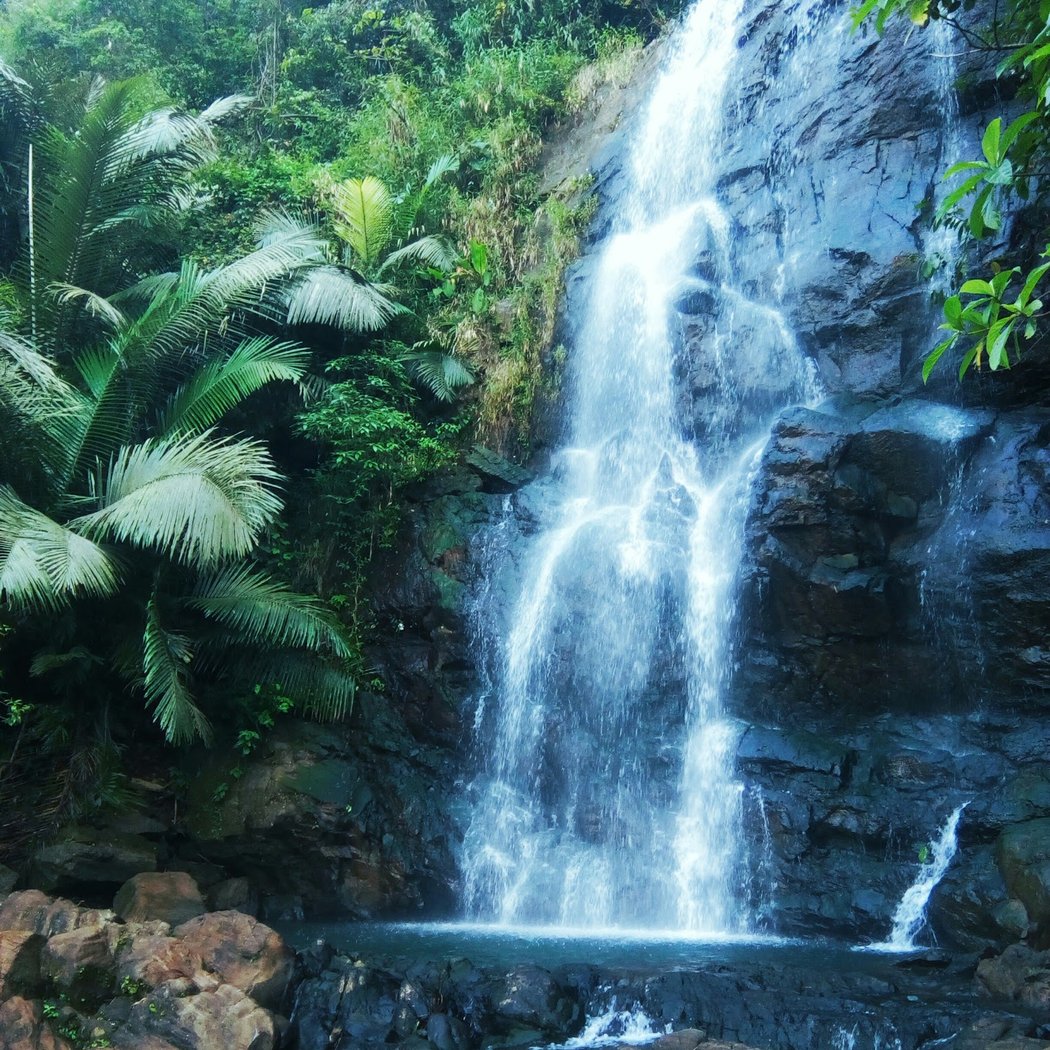 Paithalmala Trek 3