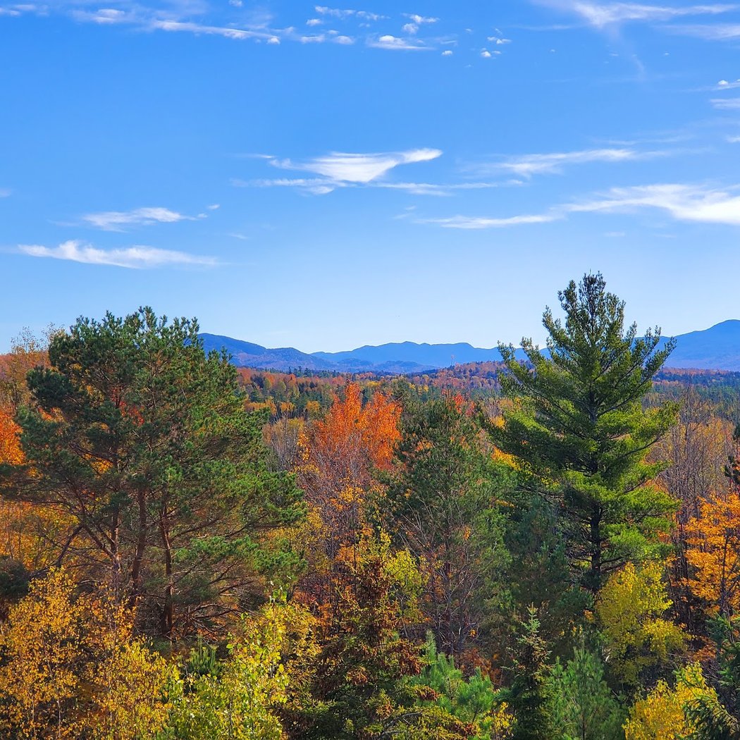 Adirondack Animal Meet-and-Greets and Wild Walk 2