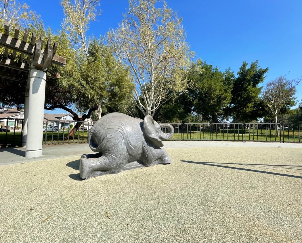 Coy Park 2