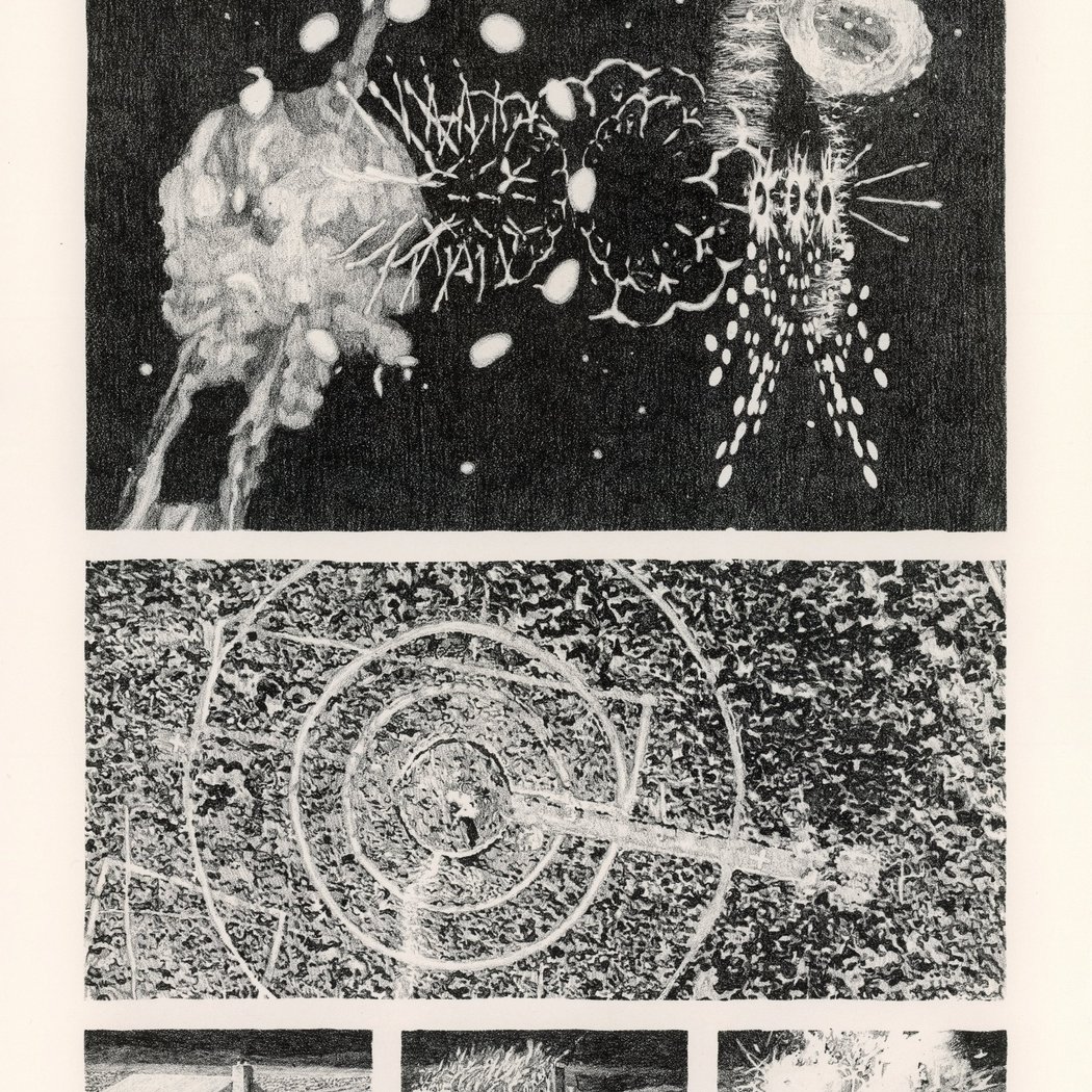 Alex Boeschenstein: Crosshairs 1