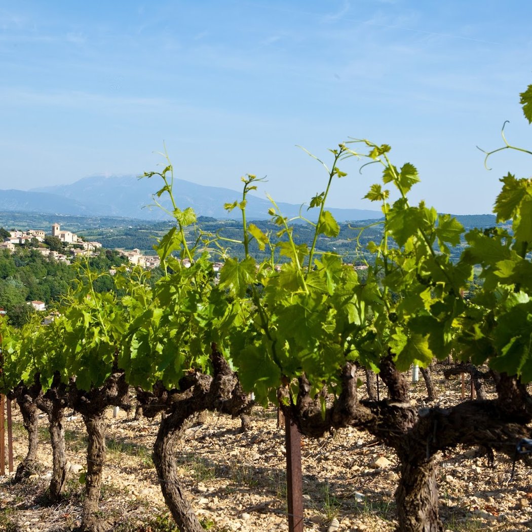 Domaine Jaume 3