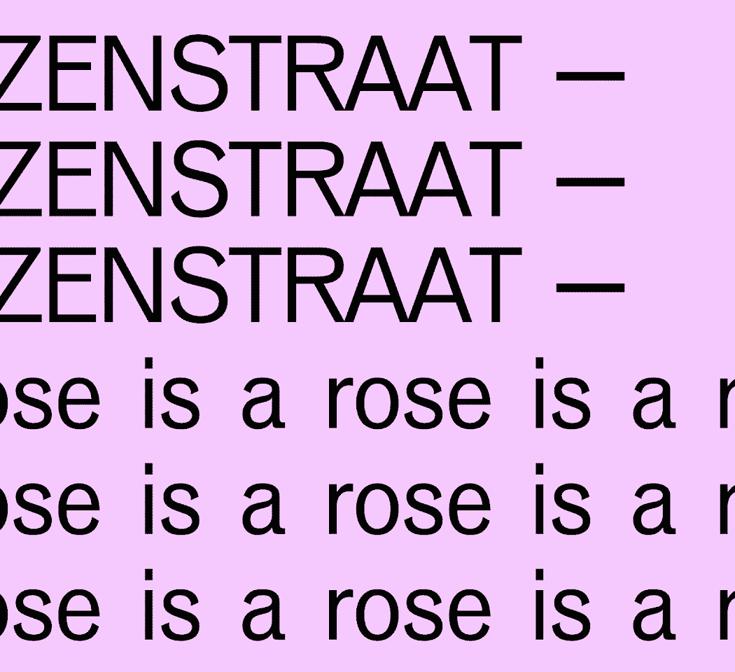 ROZENSTRAAT – a rose is a rose is a rose 2