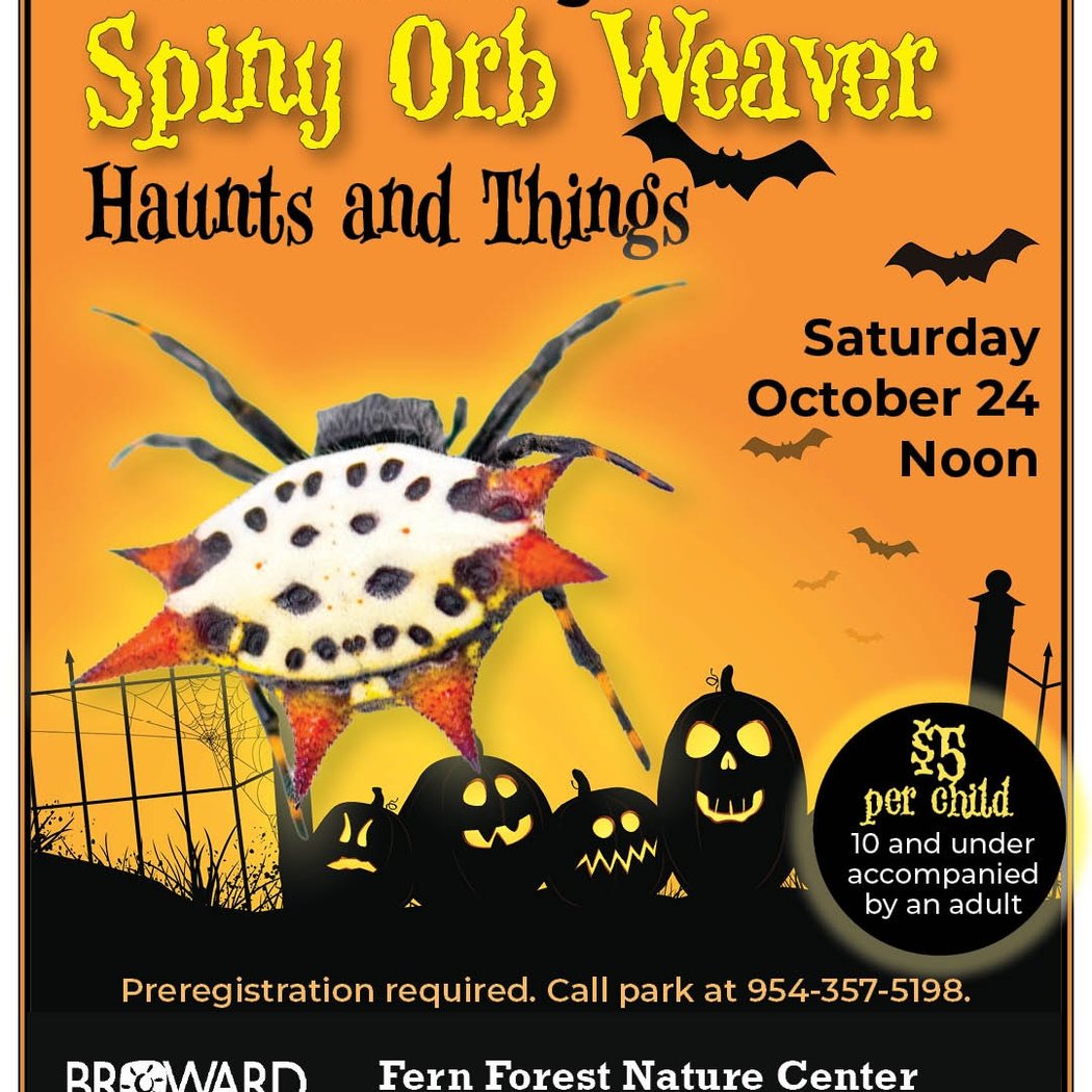 Spiny Orb Weaver Haunts and Things