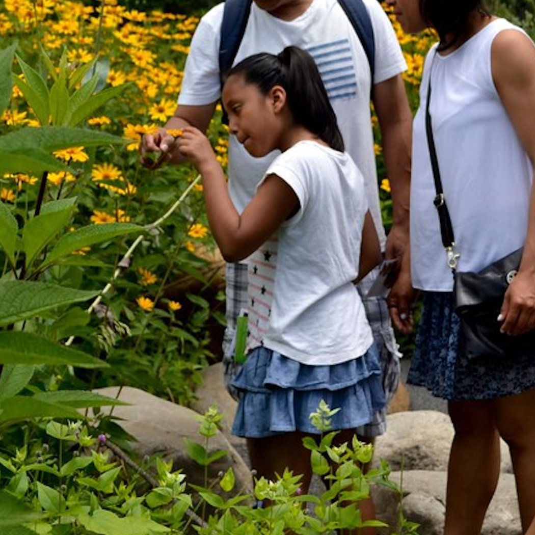 Spring Family Discovery Days 1