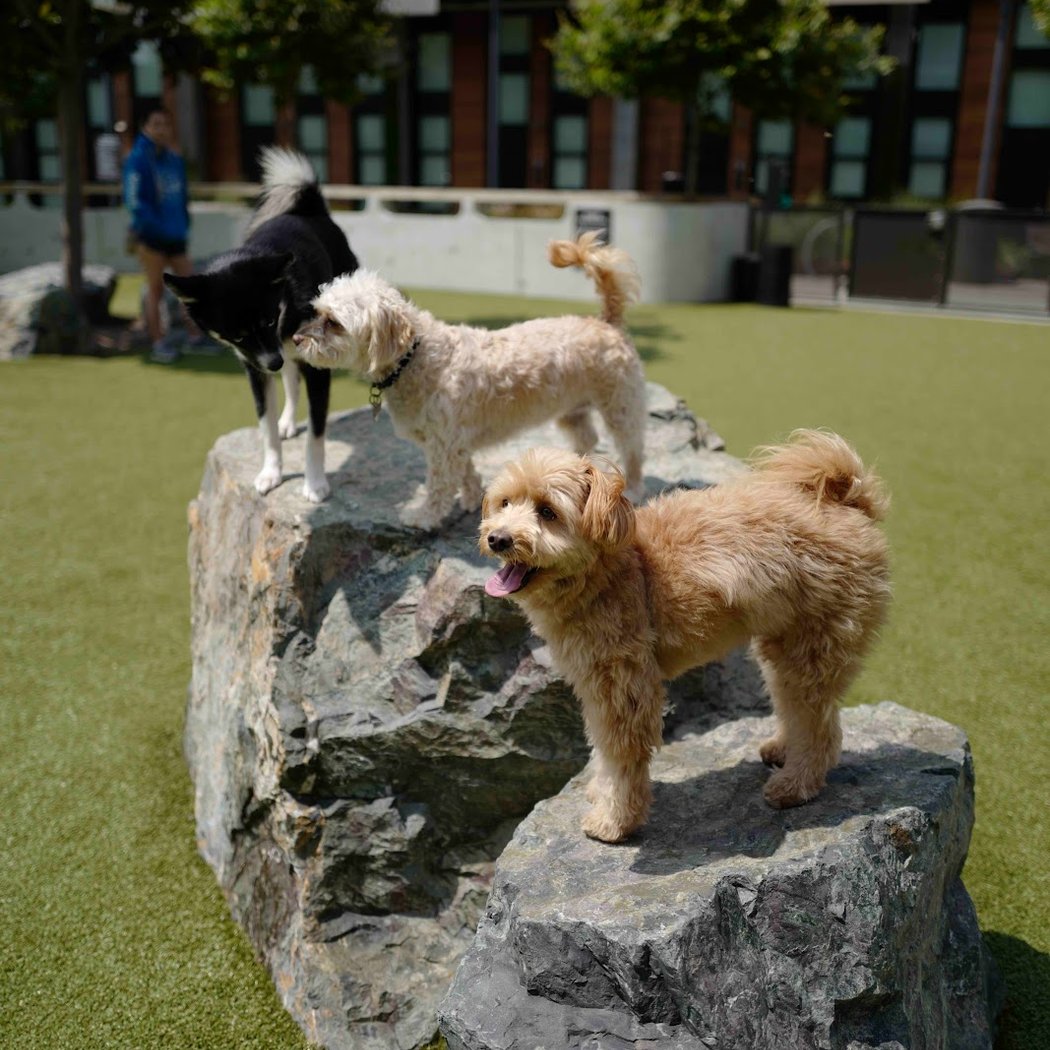 Daggett Park 1
