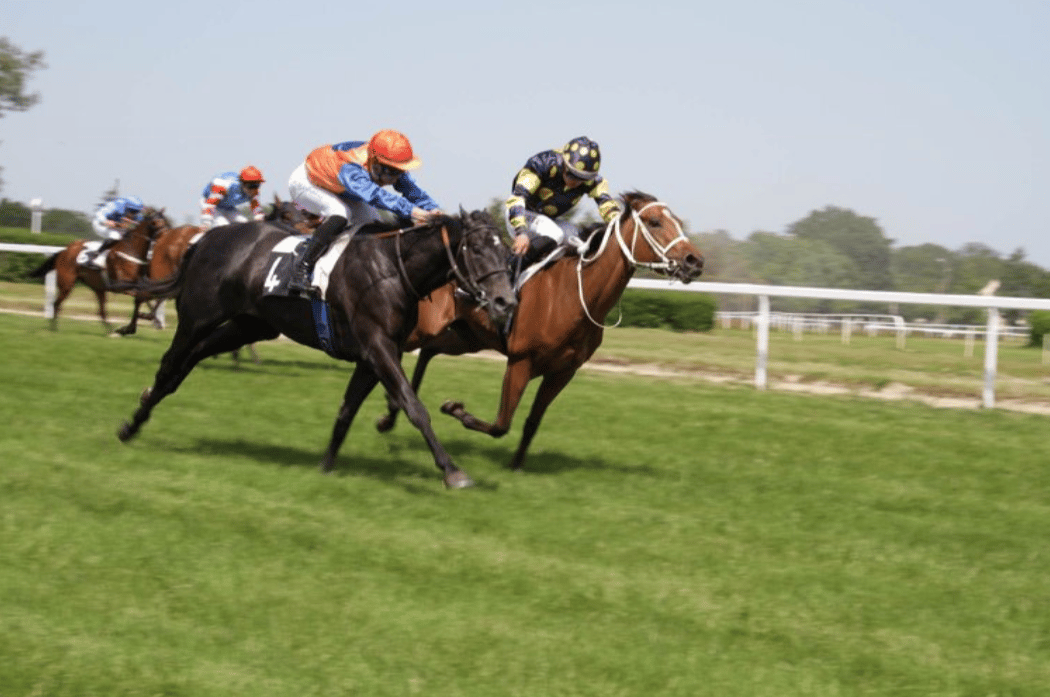 Ouverture de la saison hippique 3