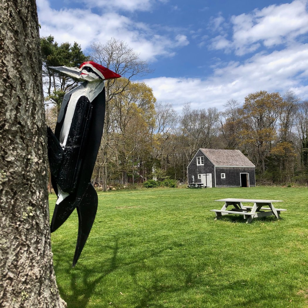 Fitzhugh Karol: On the Grounds 1