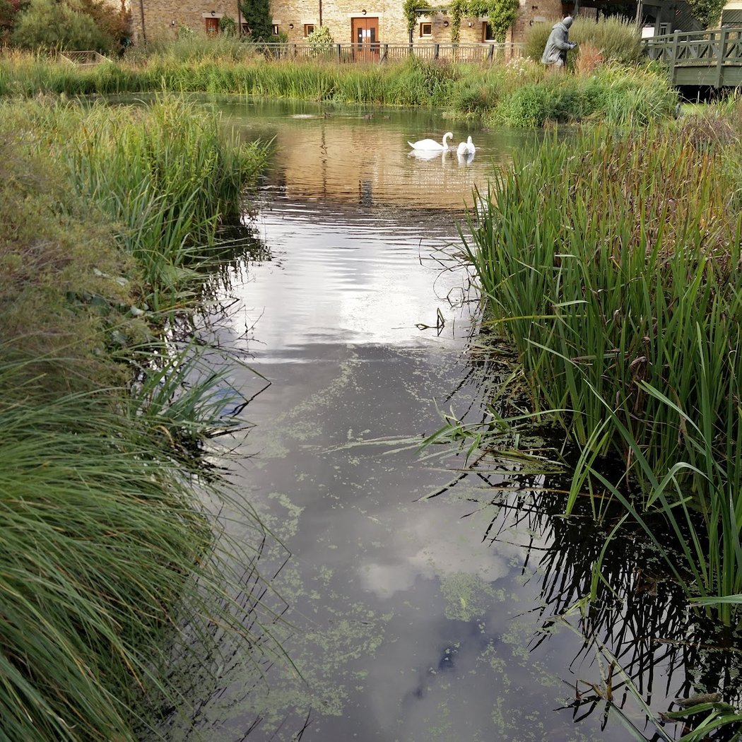 The Wetlands Centre 1
