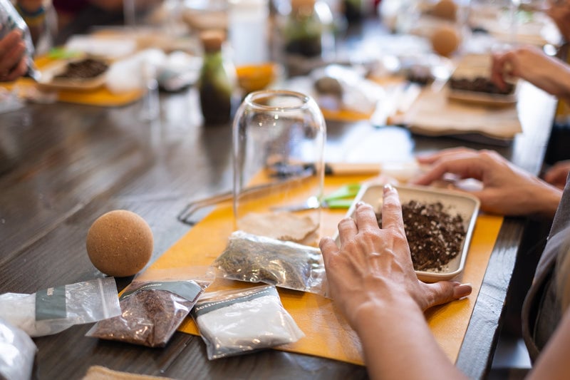 Self-Sustaining Terrarium Workshop 2