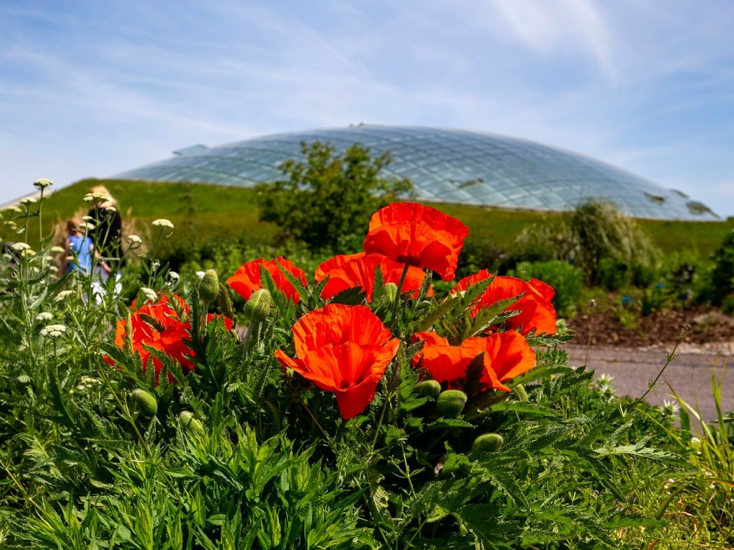 National Botanic Garden of Wales 1