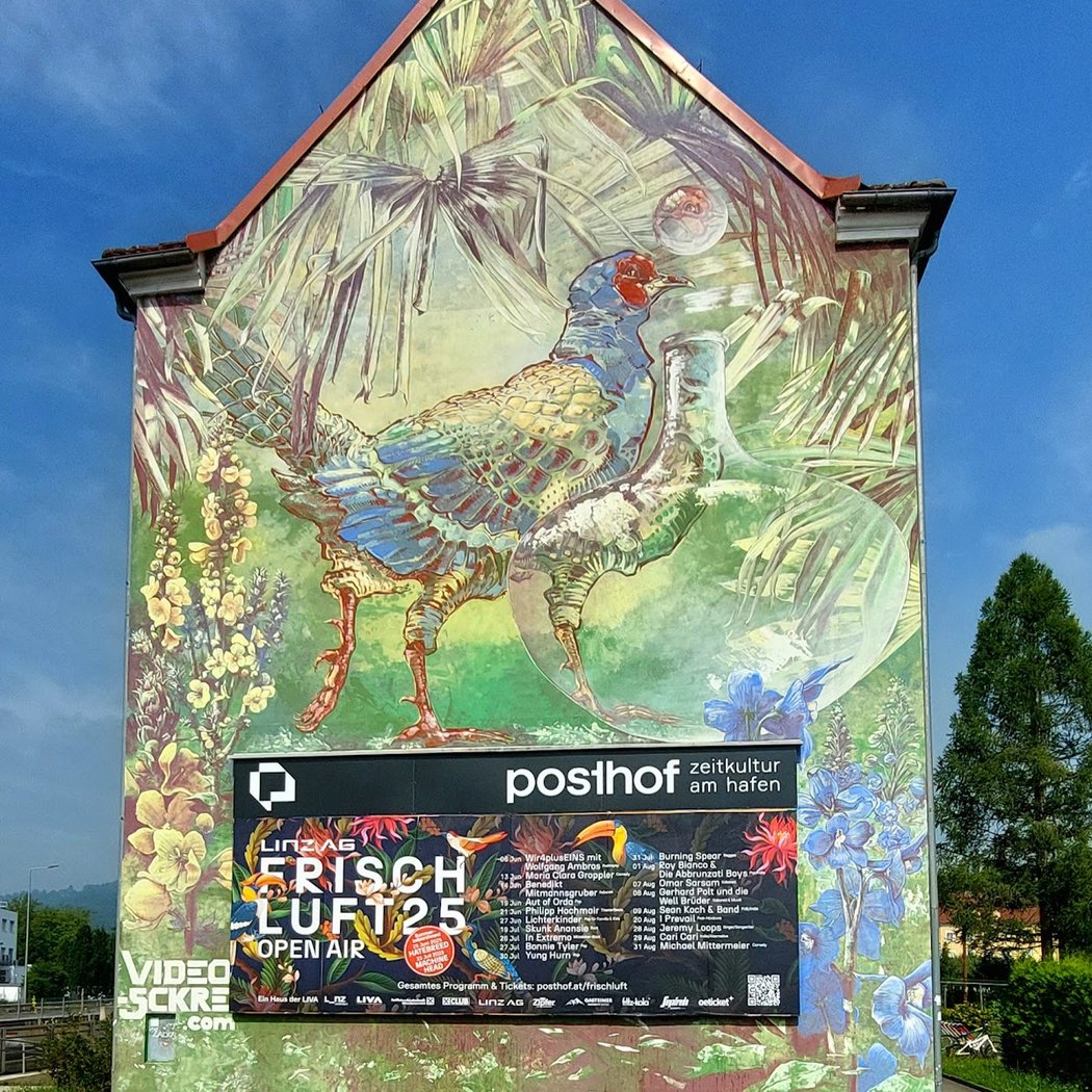 City Mural "Video & Sckre" - Prunbauerstraße 1