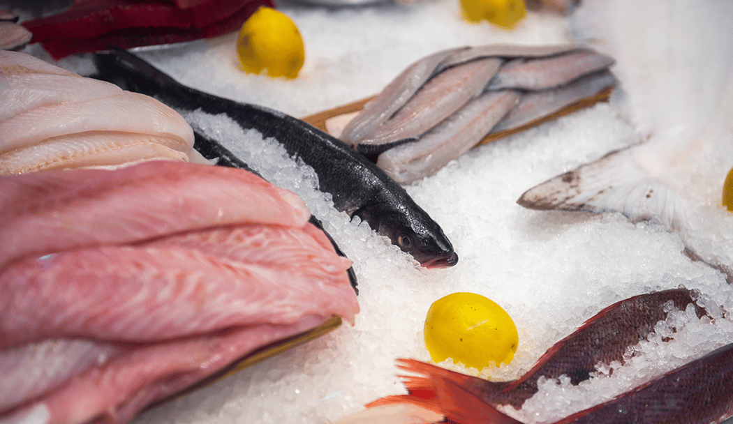 Freund's Fish Market 1
