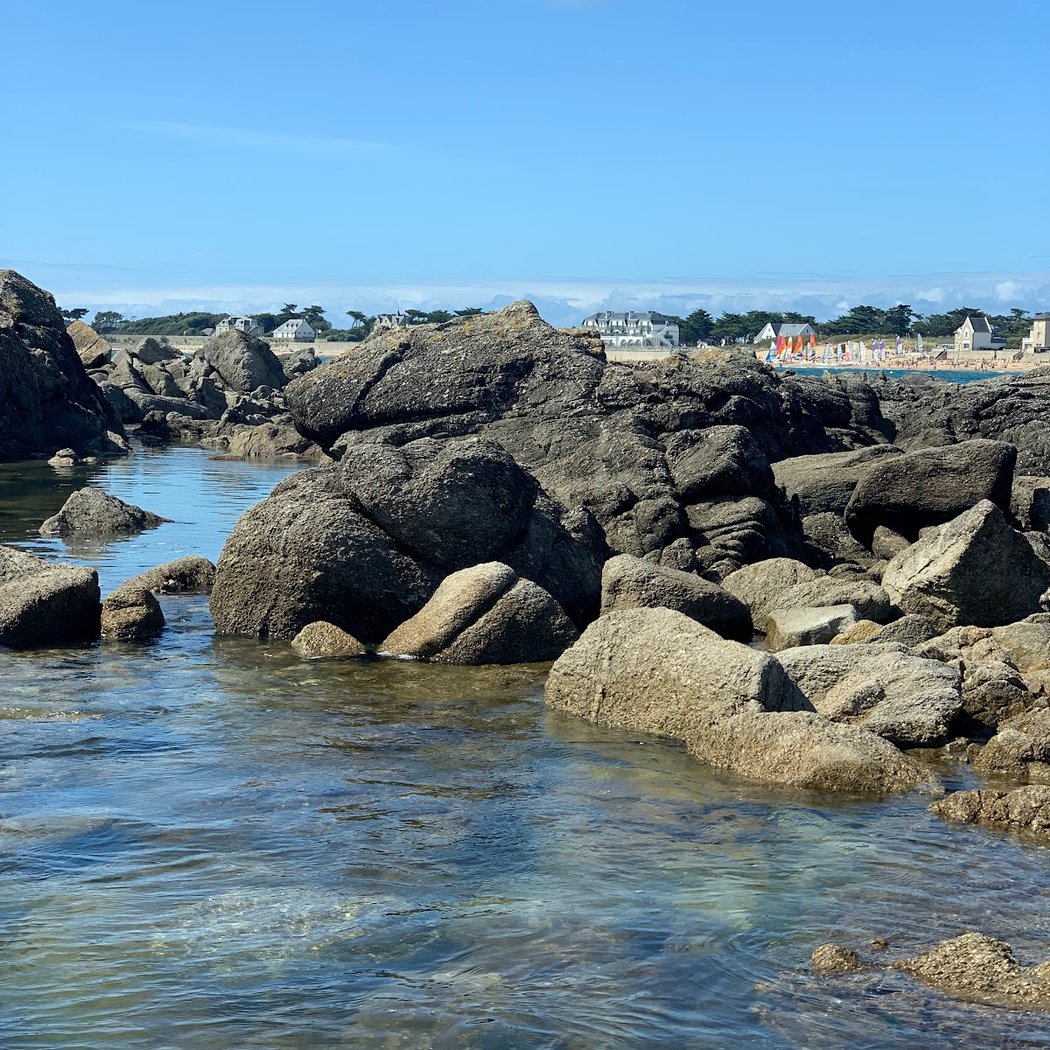 Entre plage et dunes 3