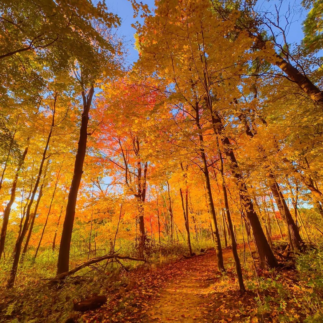 Tamarack Nature Center 1