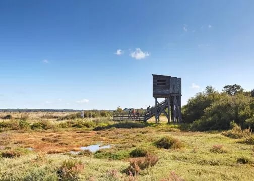 Marais salants du bassin de Mesquer 1