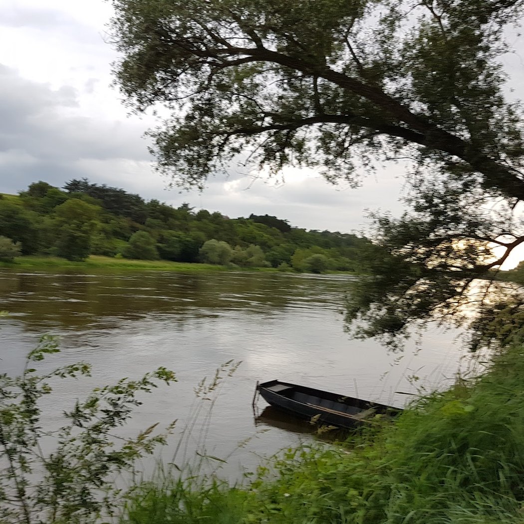 île de Chalonnes 1