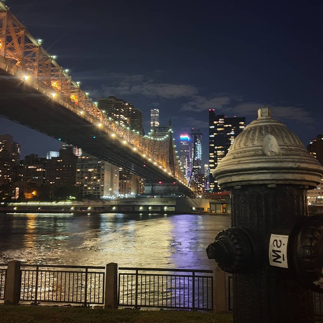 Roosevelt Island 3