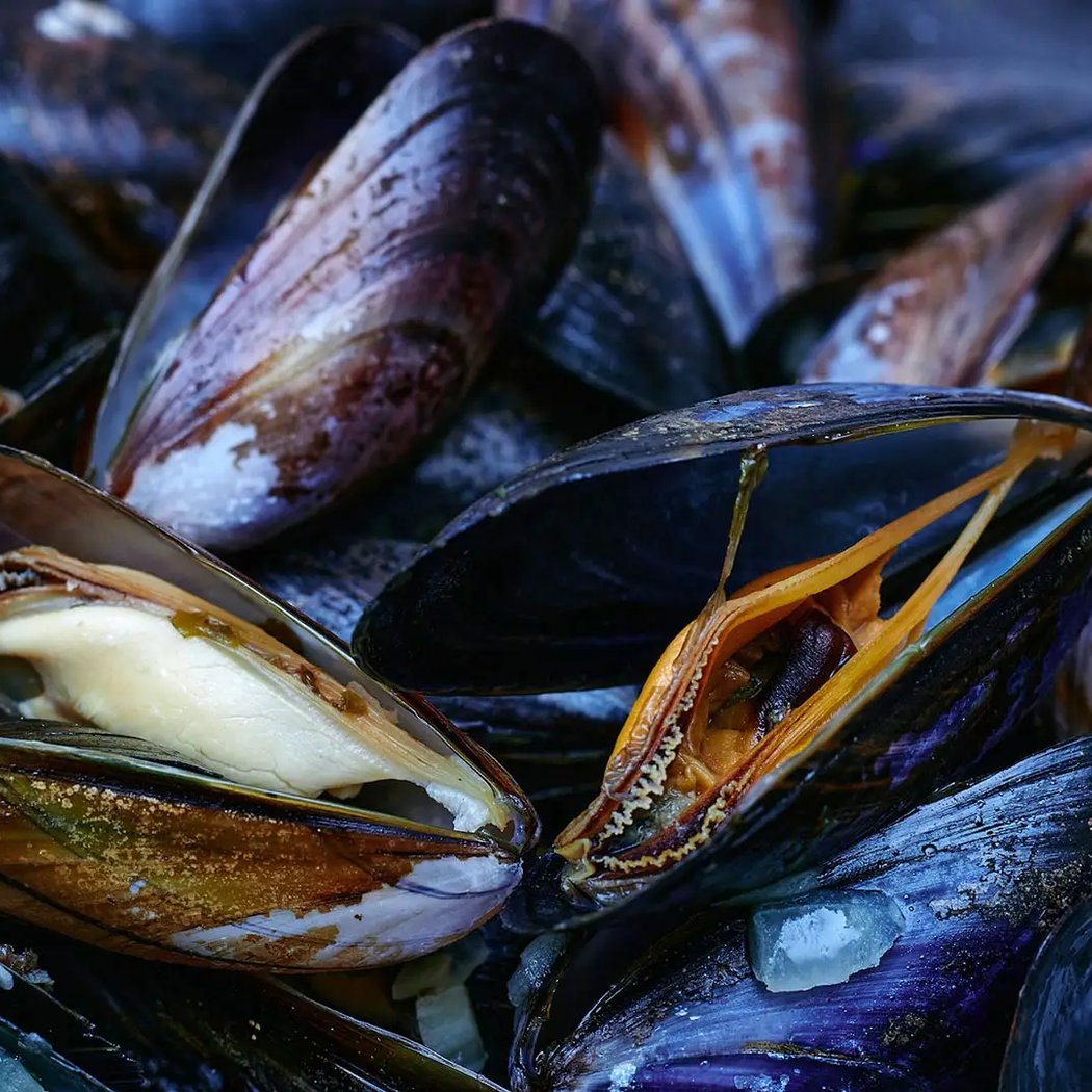 Moules de Locquemeau 1