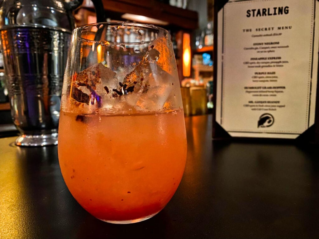 Starling Bar Sonoma 3