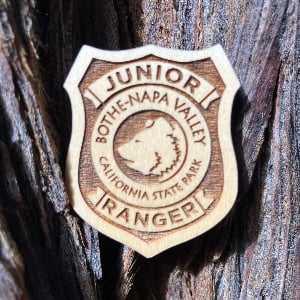 Junior Ranger Hikes 1