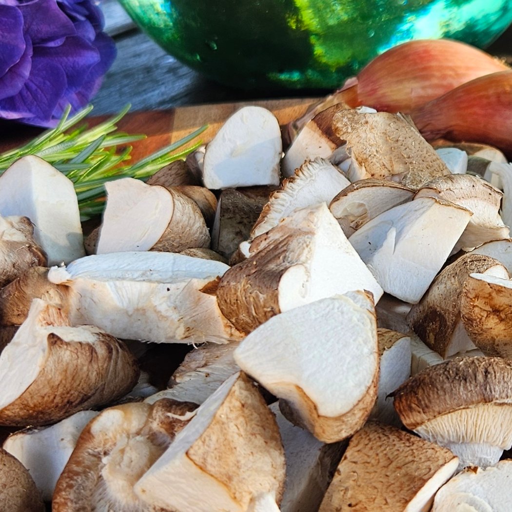 Les Champignons de Gaudeix 3