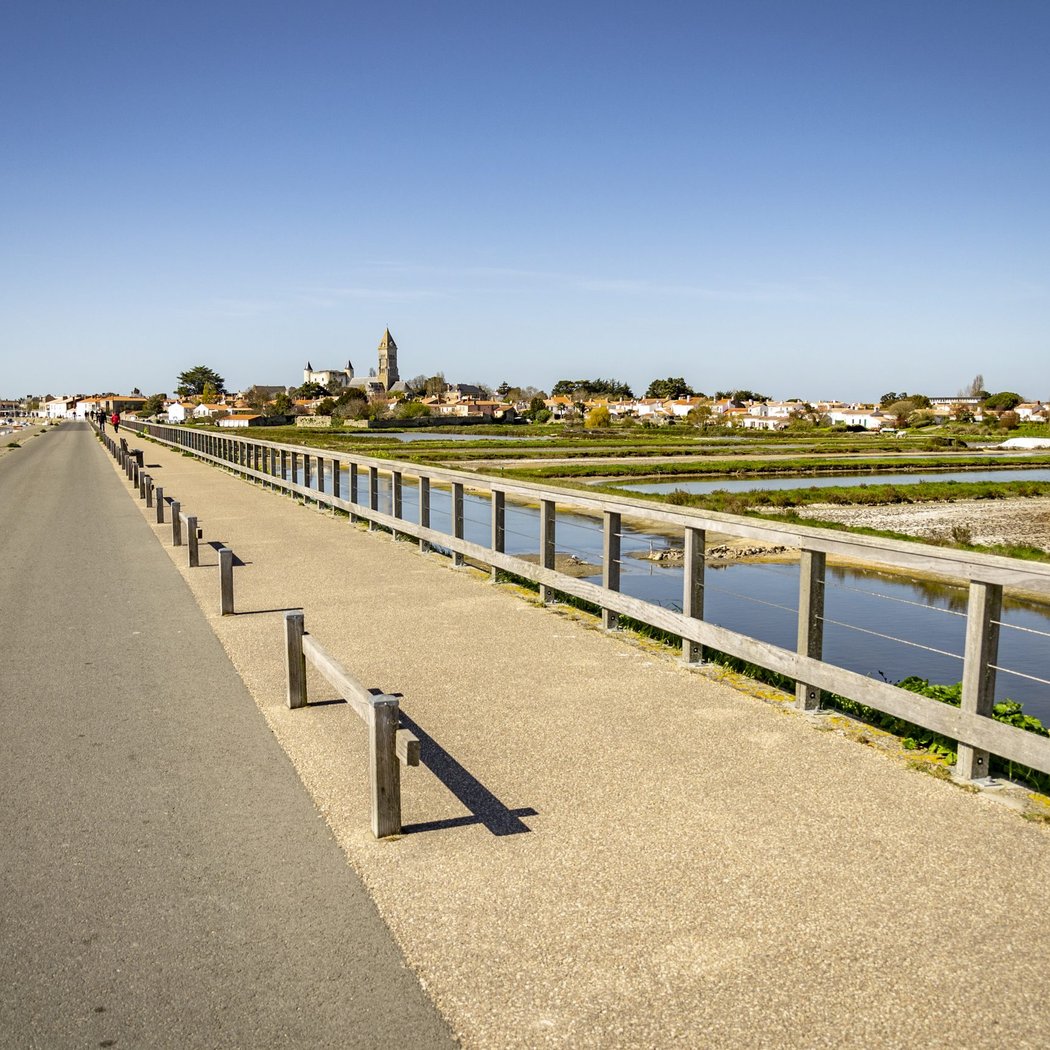 Réserve Naturelle du Marais de Mullëmbourg 3