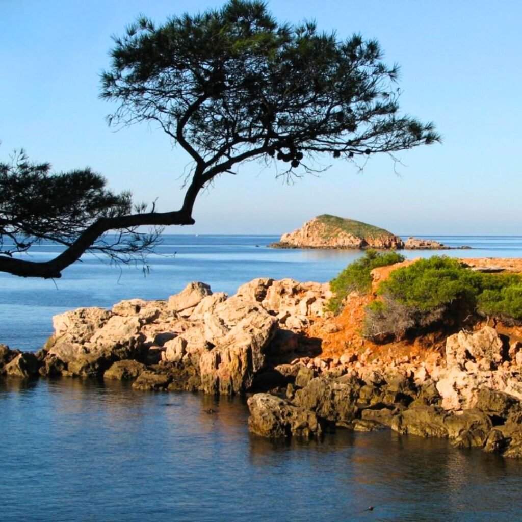 Bandol 3