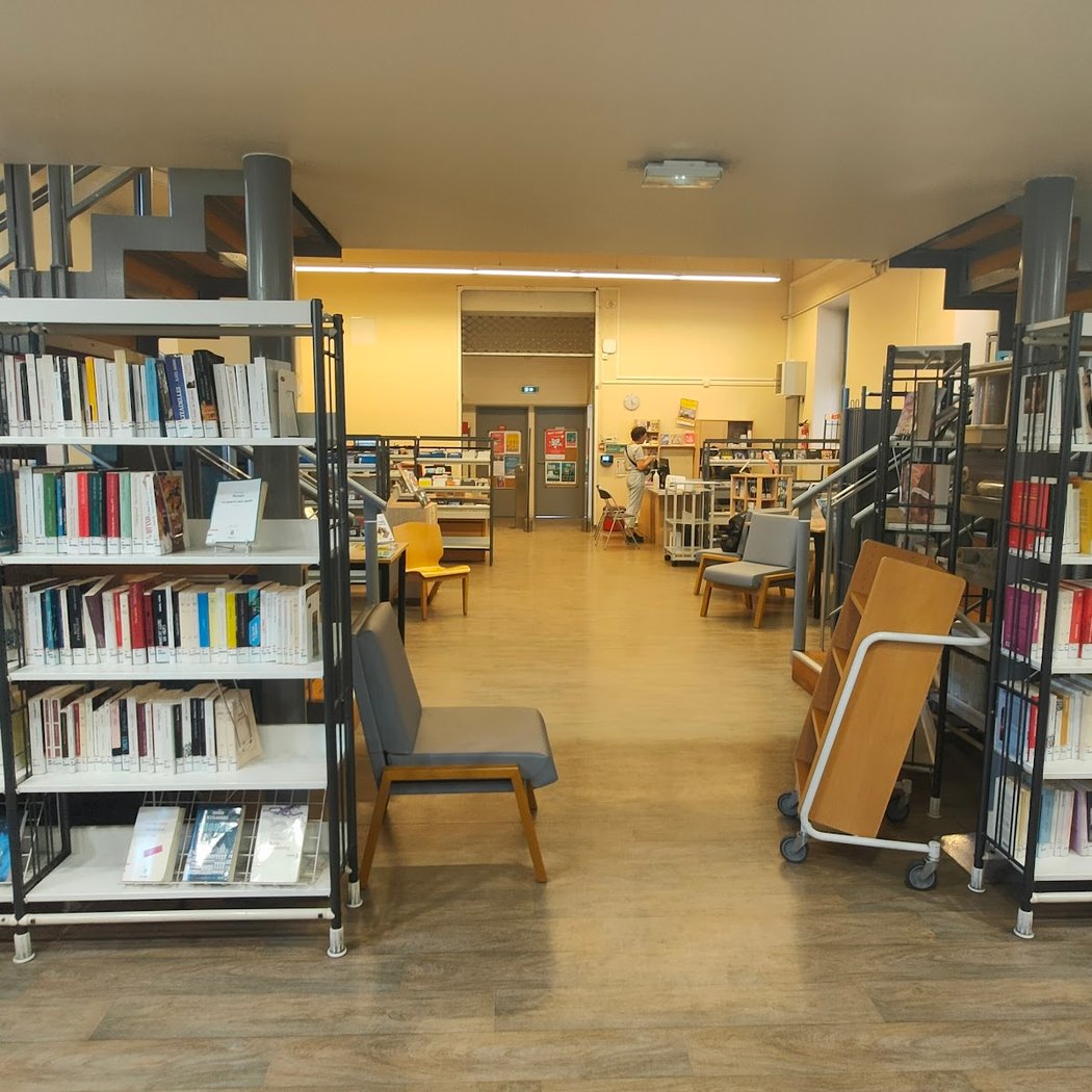 Library Cinq-Avenues 2