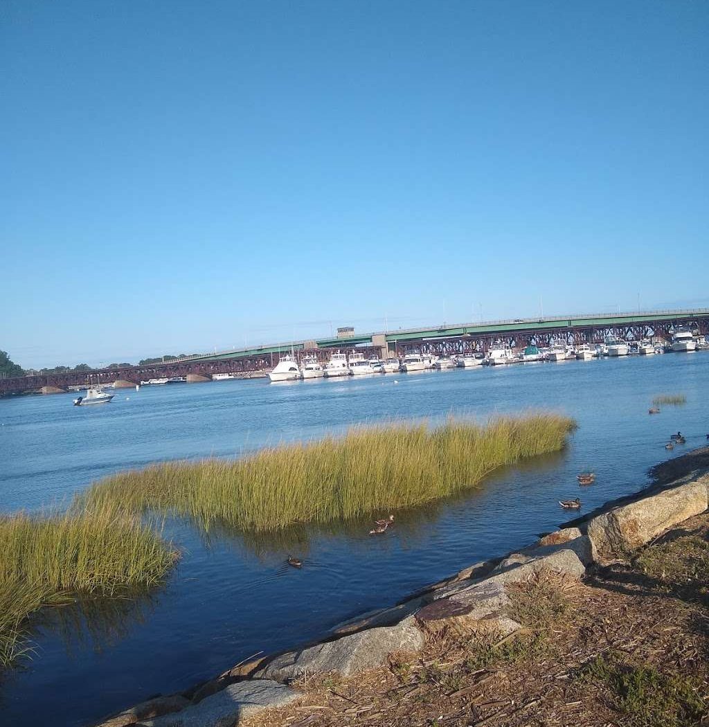 Newburyport Dog Bash 3