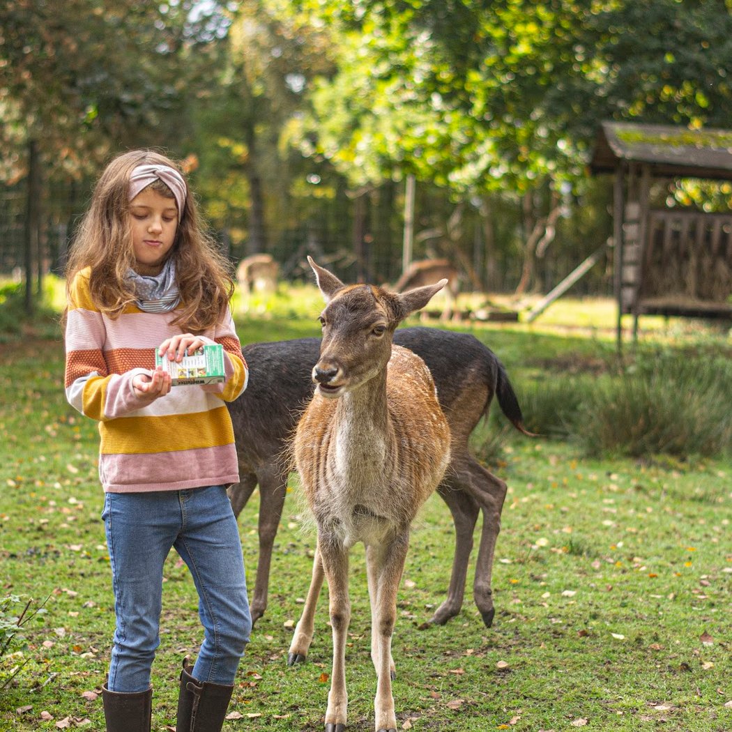 Wildpark Müden 1