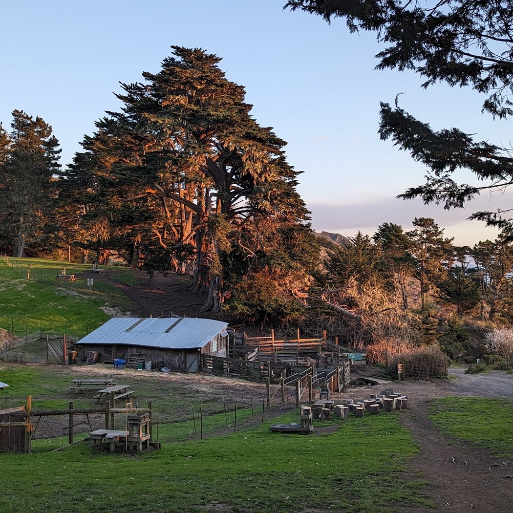 Family Farm Day: Mother's Day 5