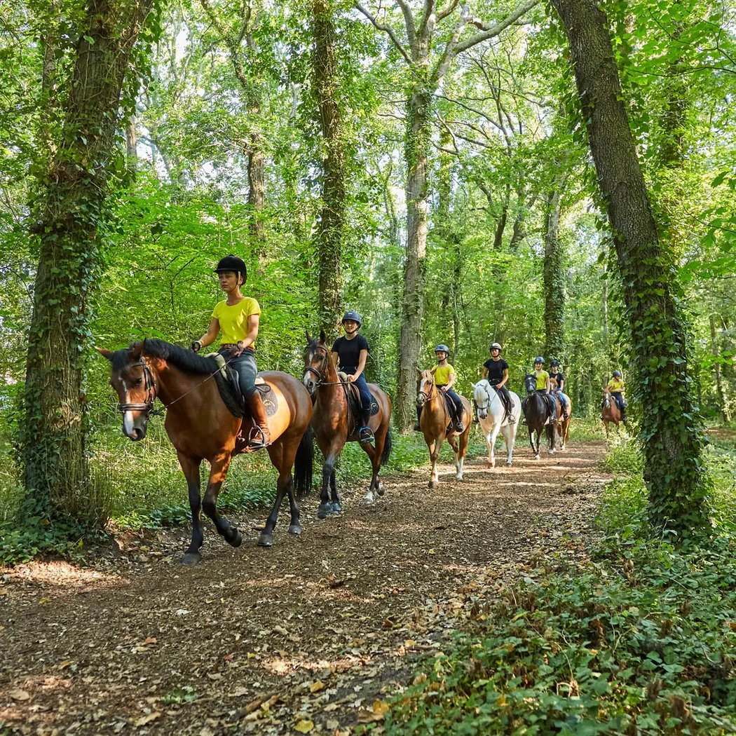 Forêt d'Escoublac 1