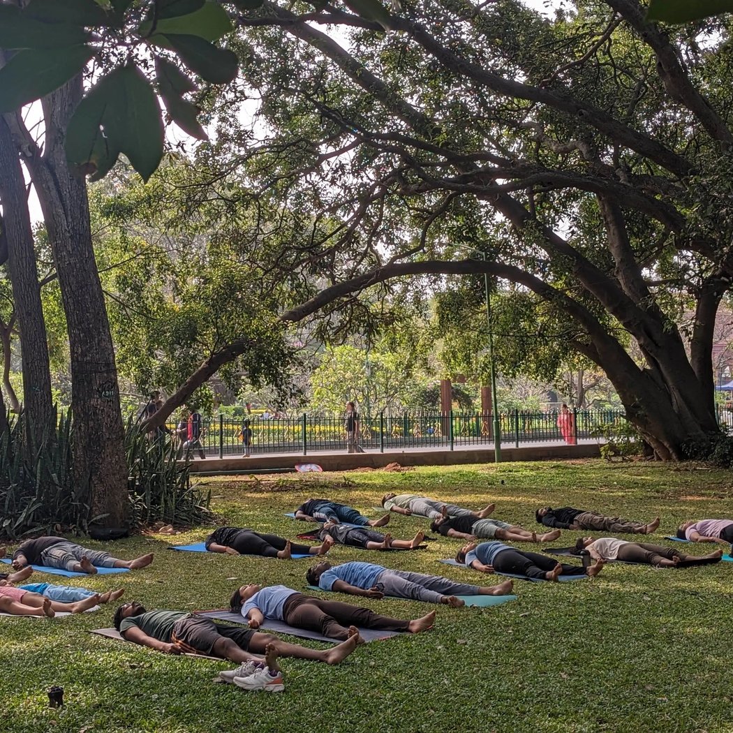 Yoga in the Wilderness, Cubbon Park Edition 1