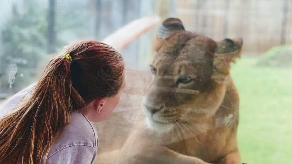 ZooWorld 2