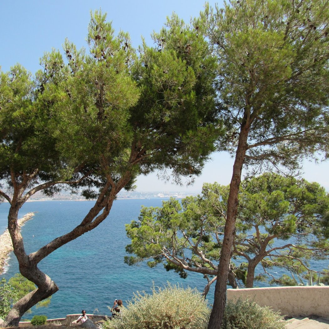 vue de l'estaque 3