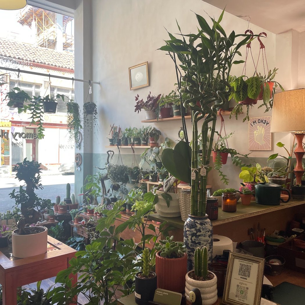 Memory Plants 3