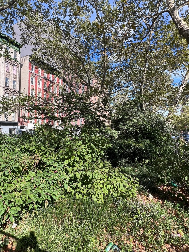 Gustave Hartman Square 3