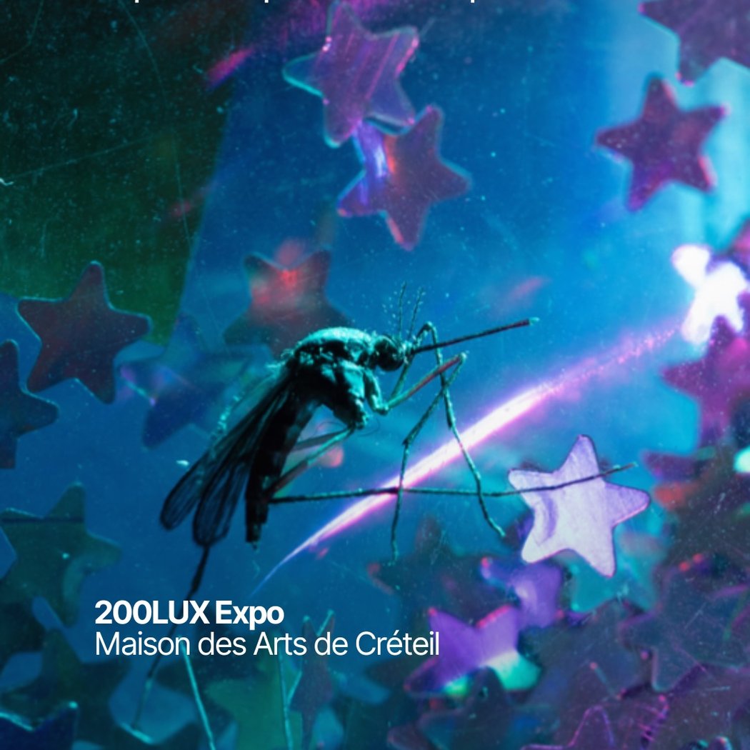 200LUX Expo