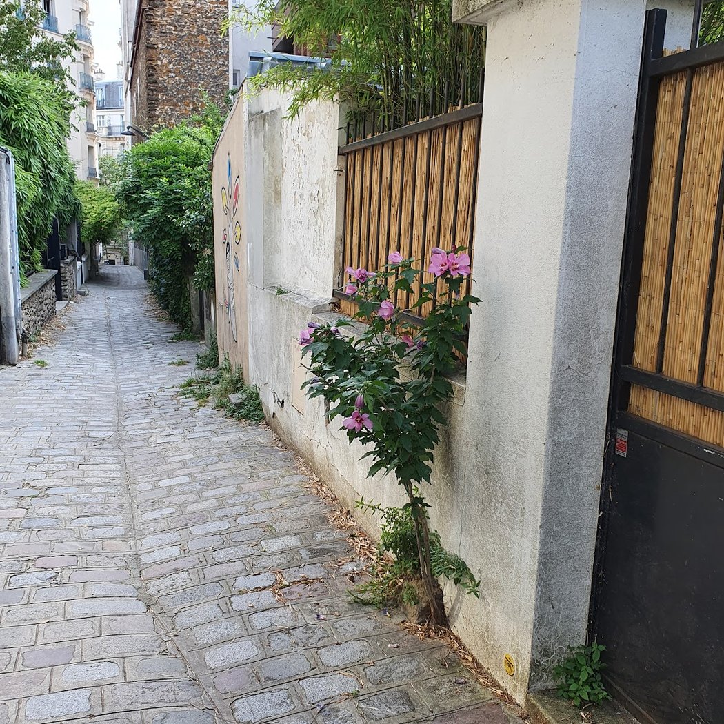 Passage des Soupirs 2