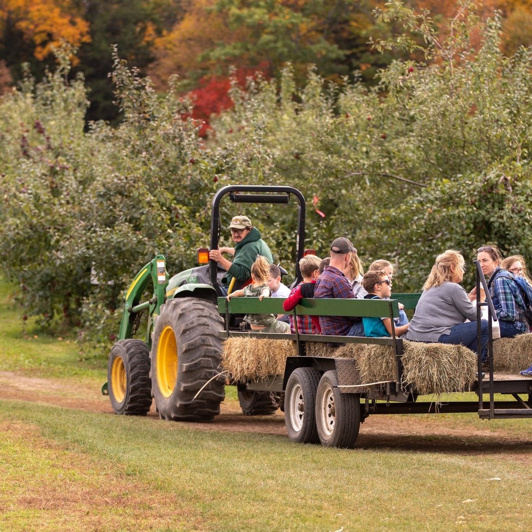 Harvest Hayrides Festival