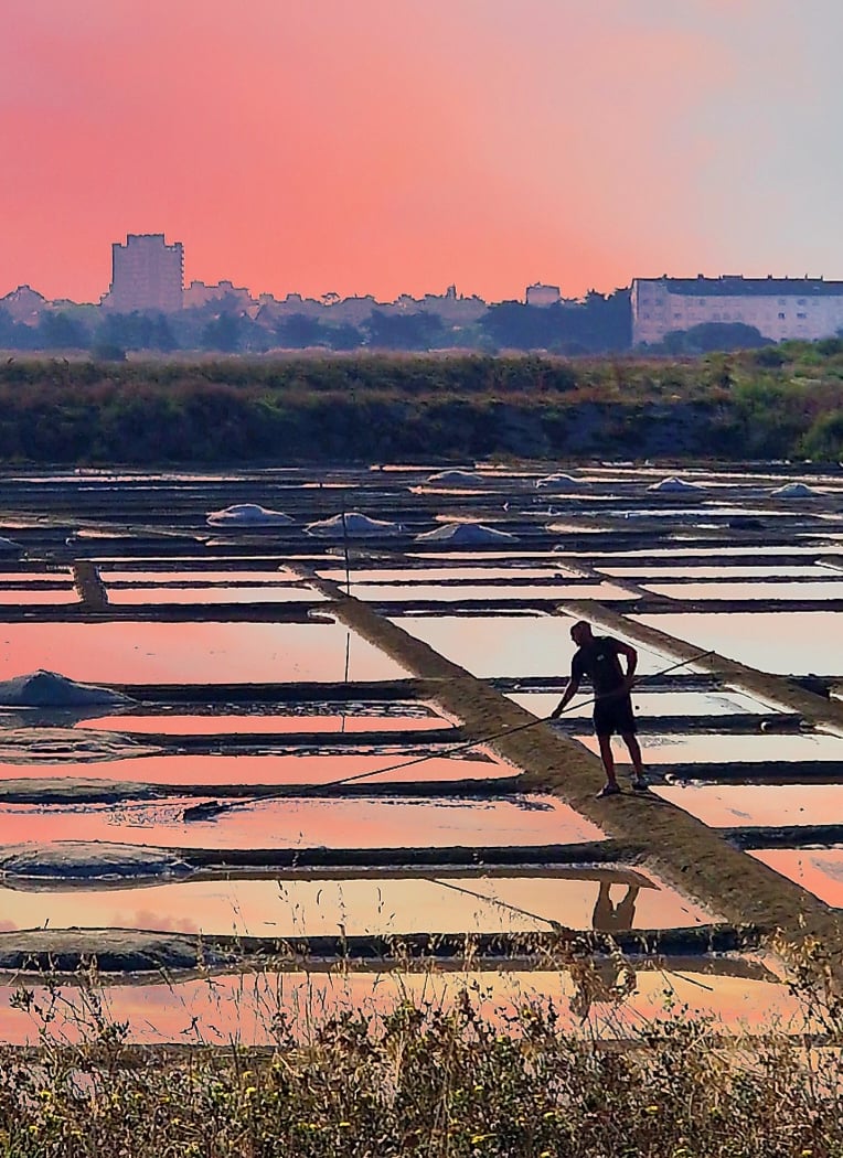 Marais salants 1