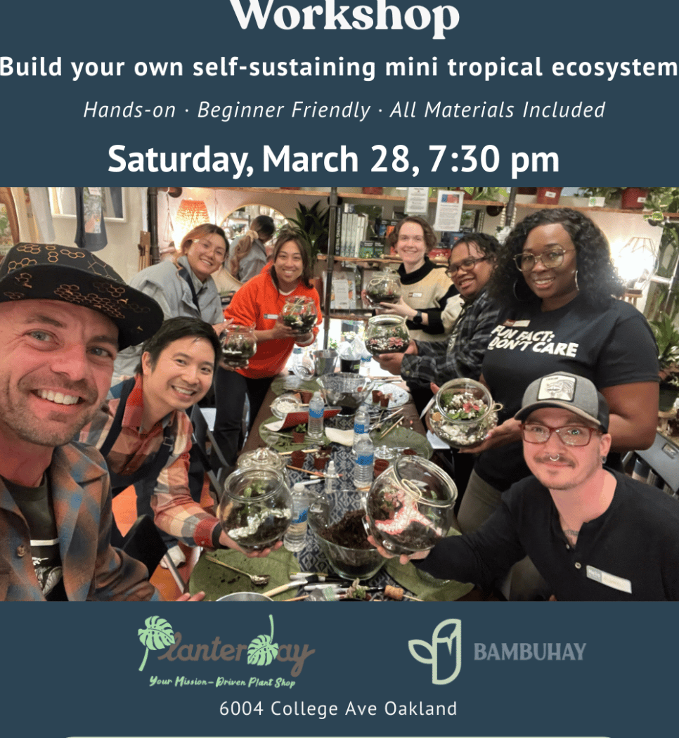 Planterday Workshop: Create Your Own Tropical Terrarium 1