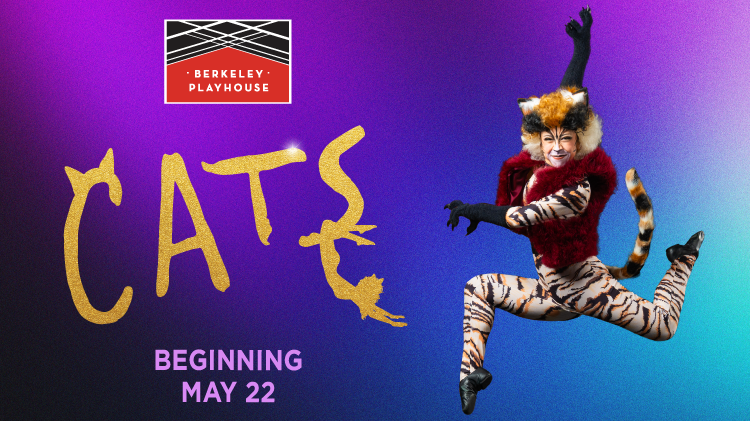 Cats 1