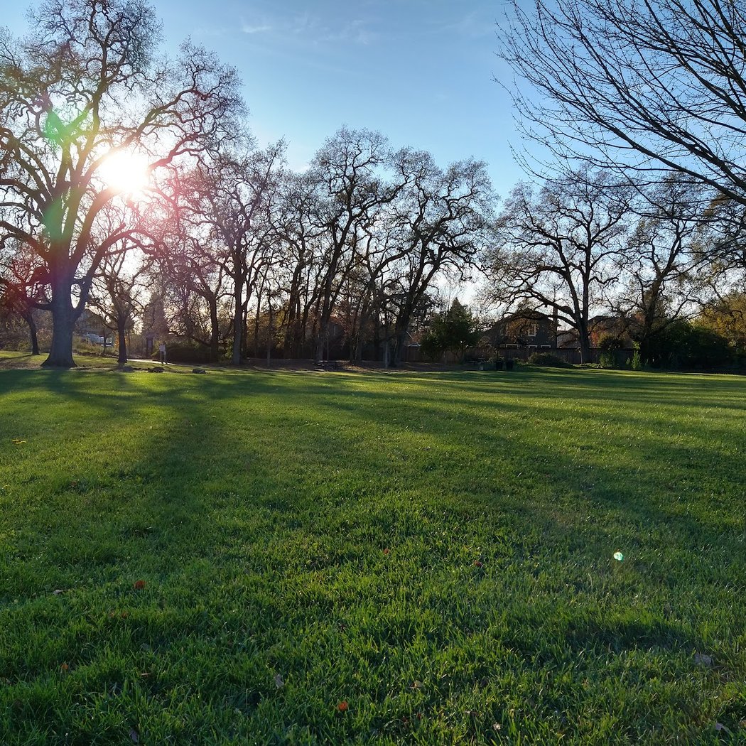 Robbins Park 1